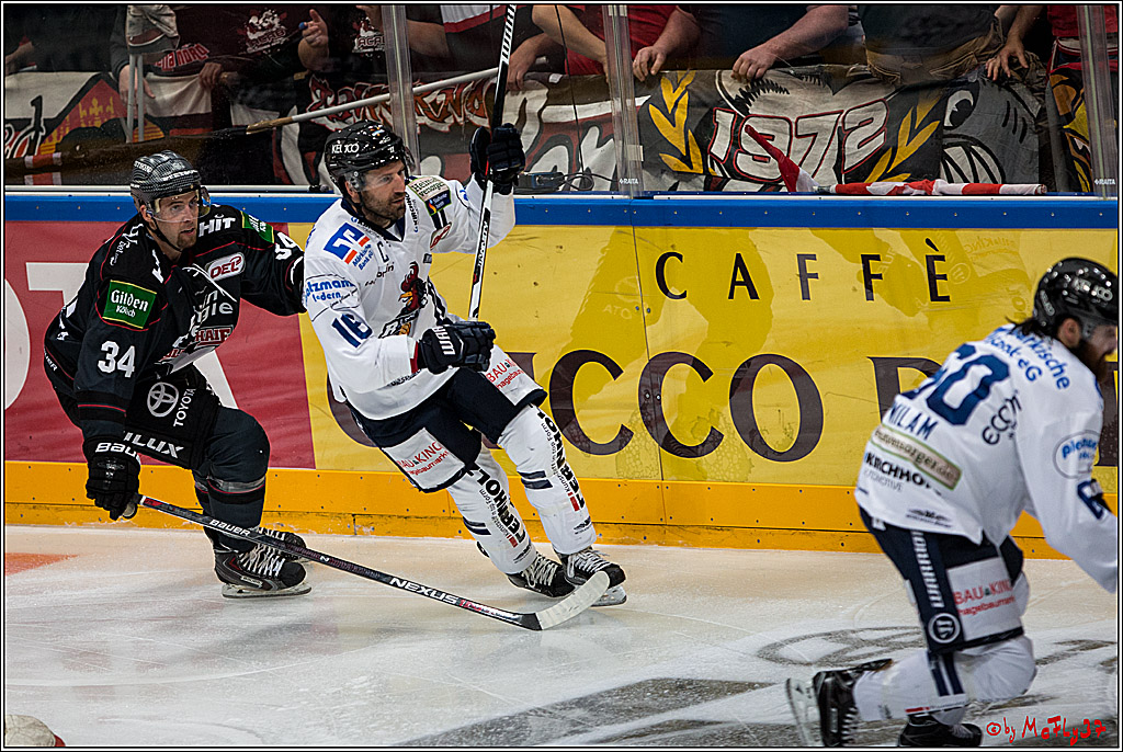 Koelner Haie - Iserlohn Roosters, 09.10.2016